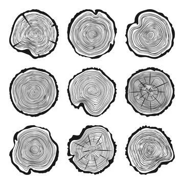 Round tree trunk cuts with cracks, sawn pine or oak slices, lumber. Saw cut Illustrazione stock
