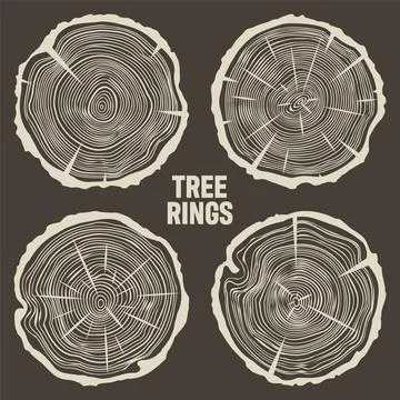 Round tree trunk cuts with cracks, sawn pine or oak slices, lumber. Saw cut Illustrazione stock