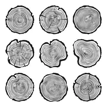 Round tree trunk cuts with cracks, sawn pine or oak slices, lumber. Saw cut Stock Illustration