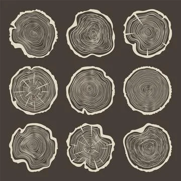 Round tree trunk cuts with cracks, sawn pine or oak slices, lumber. Saw cut Stock Illustration