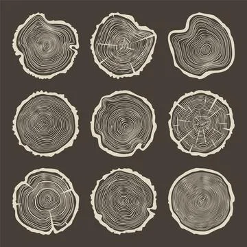 Round tree trunk cuts with cracks, sawn pine or oak slices, lumber. Saw cut Stock Illustration