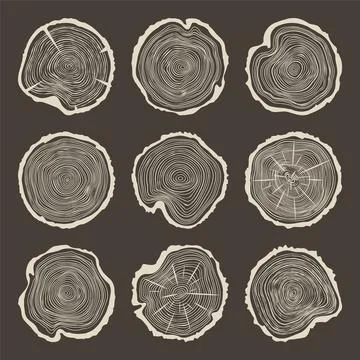 Round tree trunk cuts with cracks, sawn pine or oak slices, lumber. Saw cut Illustrazione stock
