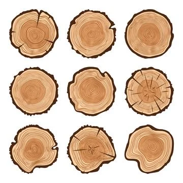 Round tree trunk cuts with cracks, sawn pine or oak slices, lumber. Saw cut Illustrazione stock