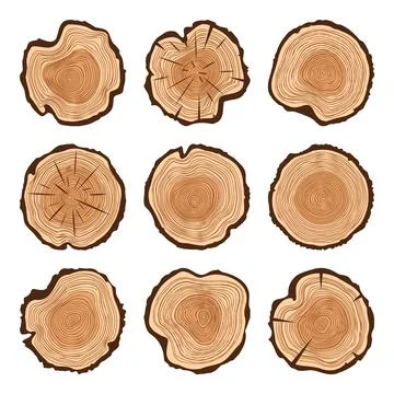 Round tree trunk cuts with cracks, sawn pine or oak slices, lumber. Saw cut Illustrazione stock