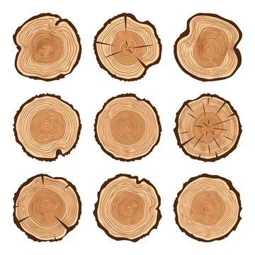 Round tree trunk cuts with cracks, sawn pine or oak slices, lumber. Saw cut Illustrazione stock