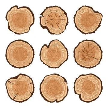 Round tree trunk cuts with cracks, sawn pine or oak slices, lumber. Saw cut Illustrazione stock