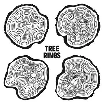 Round tree trunk cuts, sawn pine or oak slices, lumber. Saw cut timber, wood Stock Illustration