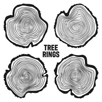 Round tree trunk cuts, sawn pine or oak slices, lumber. Saw cut timber, wood Stock Illustration