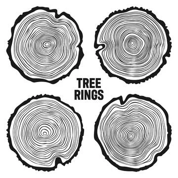 Round tree trunk cuts, sawn pine or oak slices, lumber. Saw cut timber, wood Stock Illustration