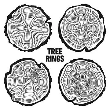 Round tree trunk cuts, sawn pine or oak slices, lumber. Saw cut timber, wood Stock Illustration