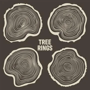 Round tree trunk cuts, sawn pine or oak slices, lumber. Saw cut timber, wood Stock Illustration