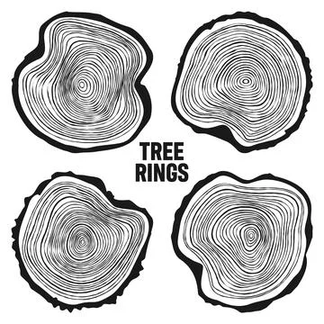 Round tree trunk cuts, sawn pine or oak slices, lumber. Saw cut timber, wood Illustrazione stock