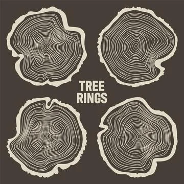 Round tree trunk cuts, sawn pine or oak slices, lumber. Saw cut timber, wood Illustrazione stock