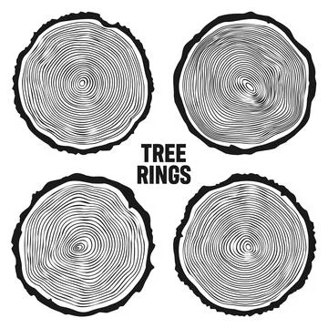 Round tree trunk cuts, sawn pine or oak slices, lumber. Saw cut timber, wood Stock Illustration