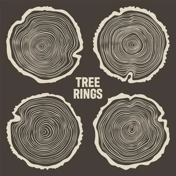 Round tree trunk cuts, sawn pine or oak slices, lumber. Saw cut timber, wood Illustrazione stock