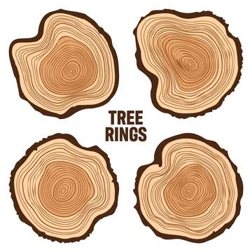Round tree trunk cuts, sawn pine or oak slices, lumber. Saw cut timber, wood Illustrazione stock