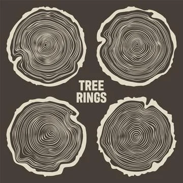 Round tree trunk cuts, sawn pine or oak slices, lumber. Saw cut timber, wood Illustrazione stock