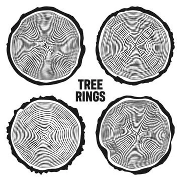 Round tree trunk cuts, sawn pine or oak slices, lumber. Saw cut timber, wood Illustrazione stock