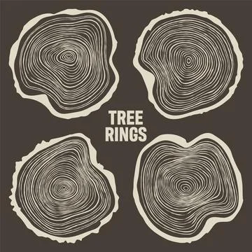 Round tree trunk cuts, sawn pine or oak slices, lumber. Saw cut timber, wood Illustrazione stock