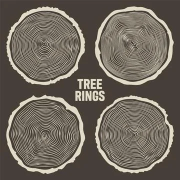 Round tree trunk cuts, sawn pine or oak slices, lumber. Saw cut timber, wood Stock Illustration