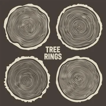 Round tree trunk cuts, sawn pine or oak slices, lumber. Saw cut timber, wood Stock Illustration