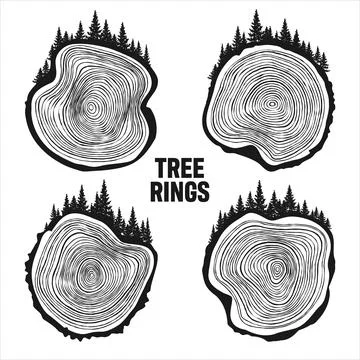 Round tree trunk cuts with trees and forest. Sawn pine or oak slices, lumber Illustrazione stock