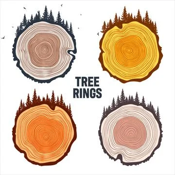Round tree trunk cuts with trees, forest and birds. Sawn pine or oak slices Illustrazione stock