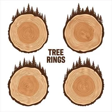 Round tree trunk cuts with trees and forest. Sawn pine or oak slices, lumber Stock Illustration