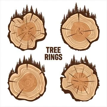 Round tree trunk cuts with trees and forest. Sawn pine or oak slices, lumber Stock Illustration
