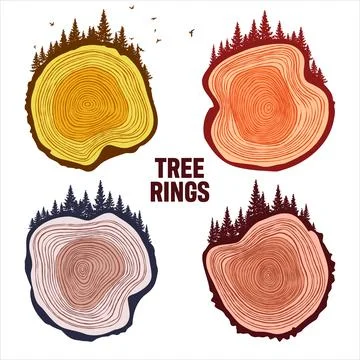 Round tree trunk cuts with trees, forest and birds. Sawn pine or oak slices Stock Illustration