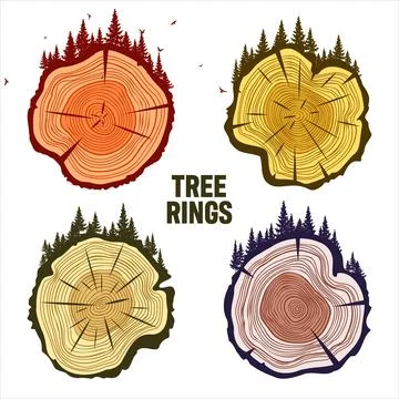 Round tree trunk cuts with trees, forest and birds. Sawn pine or oak slices Stock Illustration