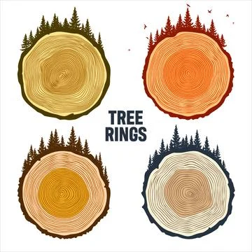 Round tree trunk cuts with trees, forest and birds. Sawn pine or oak slices Illustrazione stock
