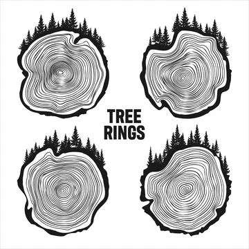 Round tree trunk cuts with trees and forest. Sawn pine or oak slices, lumber Illustrazione stock