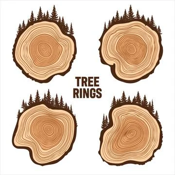 Round tree trunk cuts with trees and forest. Sawn pine or oak slices, lumber Stock Illustration