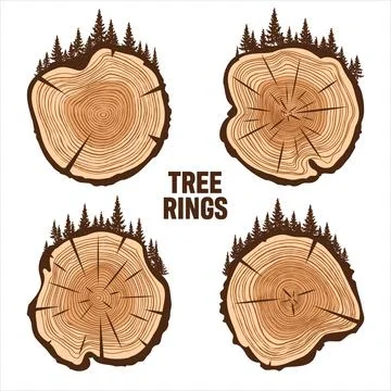 Round tree trunk cuts with trees and forest. Sawn pine or oak slices, lumber Stock Illustration