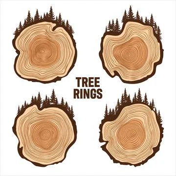 Round tree trunk cuts with trees and forest. Sawn pine or oak slices, lumber Stock Illustration