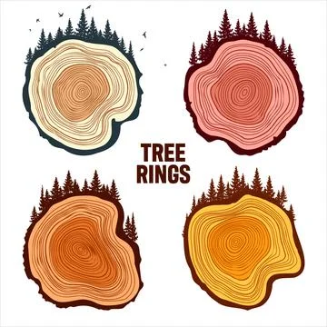 Round tree trunk cuts with trees, forest and birds. Sawn pine or oak slices Stock Illustration
