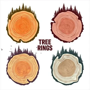Round tree trunk cuts with trees, forest and birds. Sawn pine or oak slices Stock Illustration