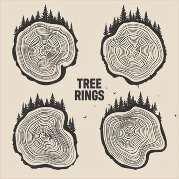 Round tree trunk cuts with trees, forest and birds. Sawn pine or oak slices Stock Illustration