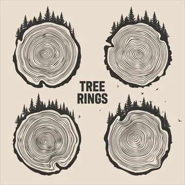 Round tree trunk cuts with trees, forest and birds. Sawn pine or oak slices Stock Illustration
