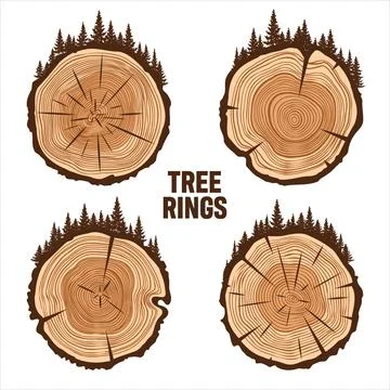 Round tree trunk cuts with trees and forest. Sawn pine or oak slices, lumber Stock Illustration