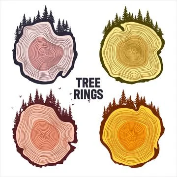 Round tree trunk cuts with trees, forest and birds. Sawn pine or oak slices Stock Illustration