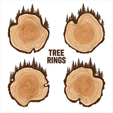 Round tree trunk cuts with trees and forest. Sawn pine or oak slices, lumber Illustrazione stock