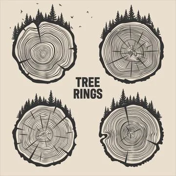 Round tree trunk cuts with trees, forest and birds. Sawn pine or oak slices Illustrazione stock
