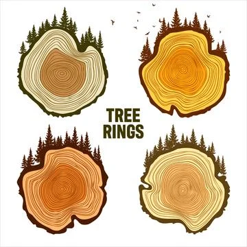 Round tree trunk cuts with trees, forest and birds. Sawn pine or oak slices Stock Illustration