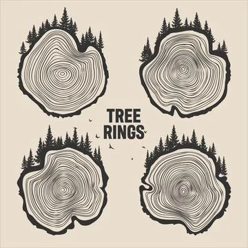 Round tree trunk cuts with trees, forest and birds. Sawn pine or oak slices Stock Illustration