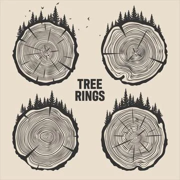 Round tree trunk cuts with trees, forest and birds. Sawn pine or oak slices Illustrazione stock