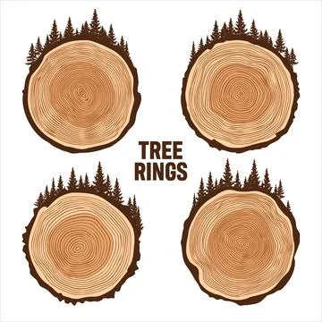Round tree trunk cuts with trees and forest. Sawn pine or oak slices, lumber Stock Illustration