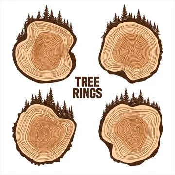 Round tree trunk cuts with trees and forest. Sawn pine or oak slices, lumber Stock Illustration