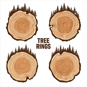 Round tree trunk cuts with trees and forest. Sawn pine or oak slices, lumber Stock Illustration